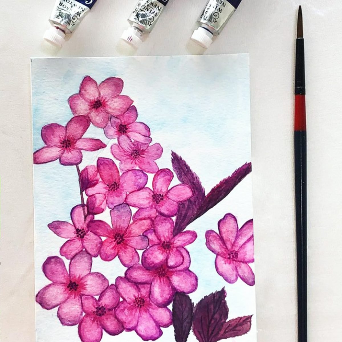 flores cerezo